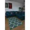 Dywan SCANDI 18218/631 - TRELLIS
