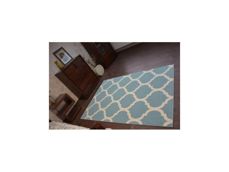 Dywan SCANDI 18218/631 - TRELLIS