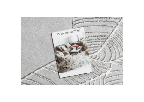 Dywan LIRA E1482 Liście strukturalny, nowoczesny, glamour - szary